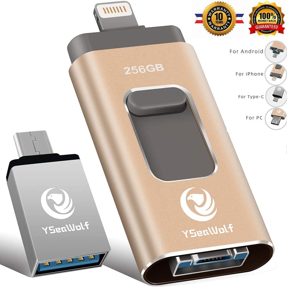 YSeaWolf 256GB 4-in-1 USB Flash Drive Type C Flash Drive 3.0 (Gold) (X –  AMT