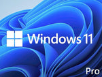 FQC-10529 Microsoft Windows 11 Pro, 64-bit, OEM DVD 889842905908